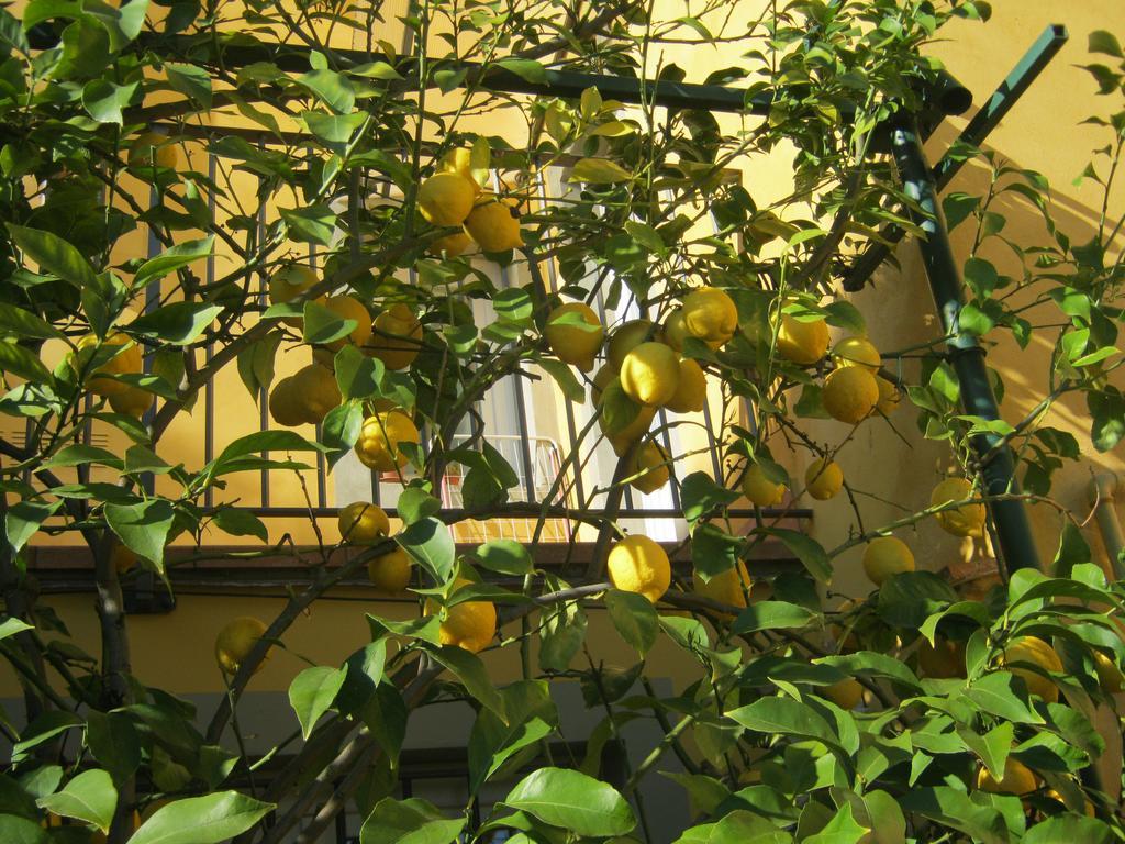 Holiday Home Il Borgo Degli Agrumi Uzzano Eksteriør bilde