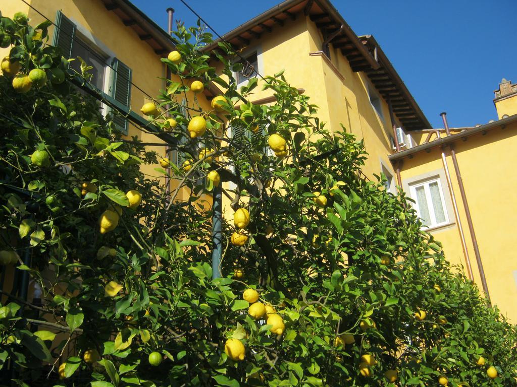 Holiday Home Il Borgo Degli Agrumi Uzzano Eksteriør bilde